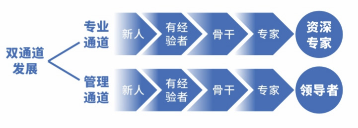 1747618945872254.jpg 人才造就打算2.jpg